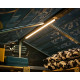 Sistema di illuminazione a LED - Palram - Canopia 