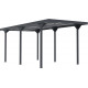 Tettoia per auto tetto piano in acciaio zincato antracite 284x546cm - X-METAL